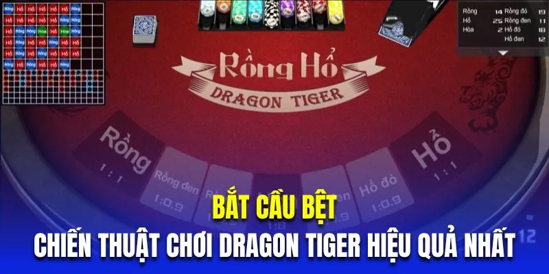 Bắt cầu bệt là chiến thuật chơi Dragon Tiger hiệu quả nhất 